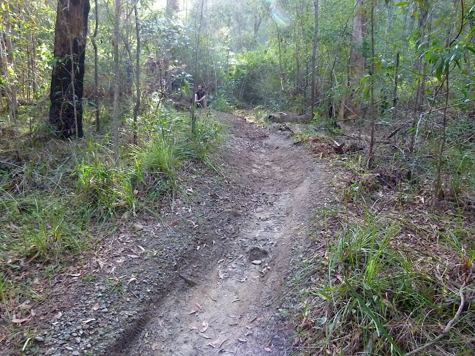 P1160430.jpg